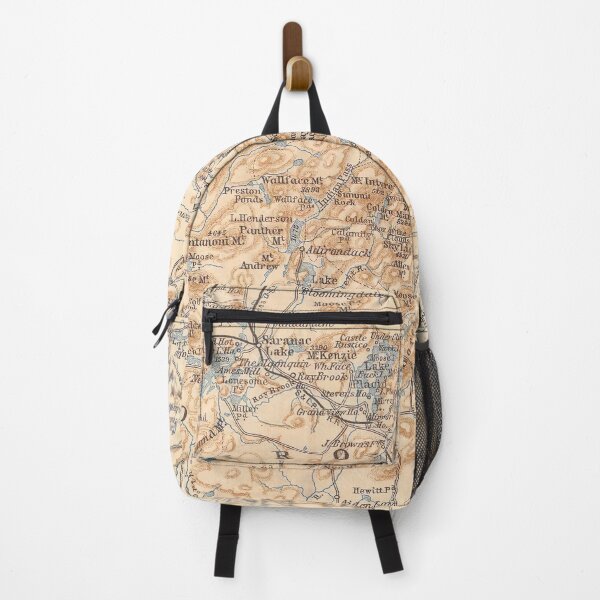 Item preview, Vintage Map of the Adirondack Mountains (1893) designed and sold by BravuraMedia.