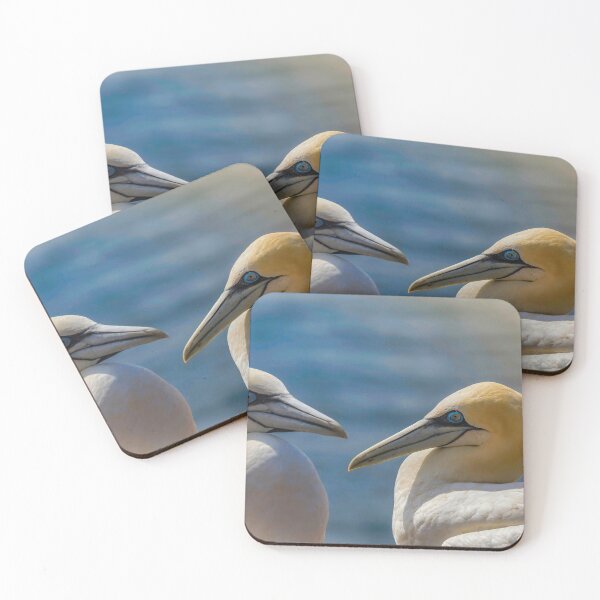 Item preview, gannet designed and sold by Rico20023.