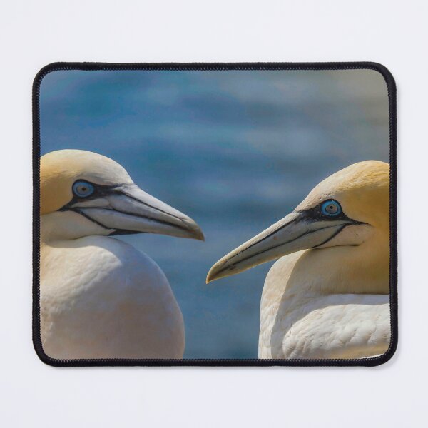 Item preview, gannet designed and sold by Rico20023.