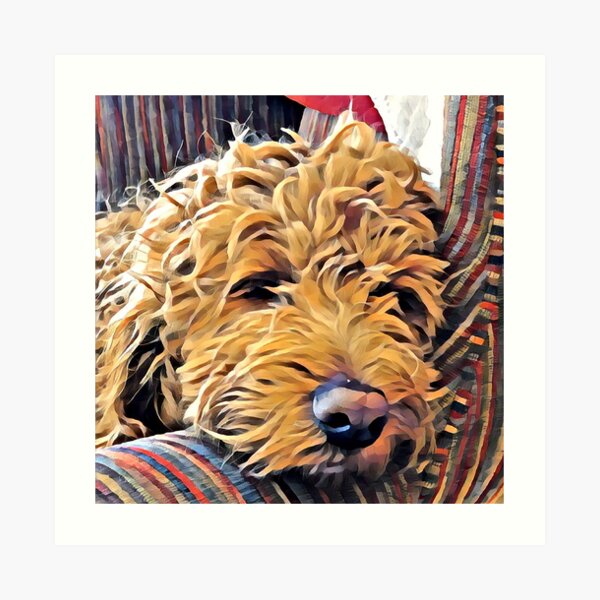 Puppy naps in a chair Art Print