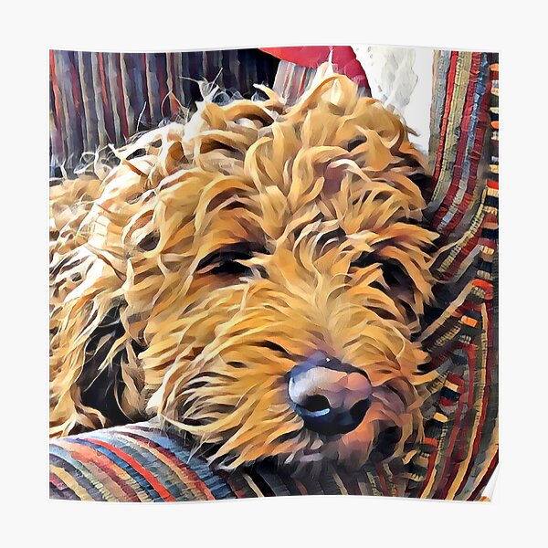 Puppy naps in a chair Poster