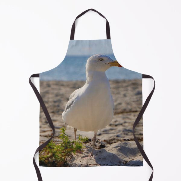 Item preview, Skua on the Baltic Sea coast designed and sold by Rico20023.