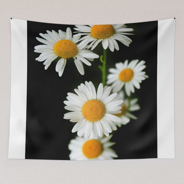 Item preview, White chamomiles on black background designed and sold by olena2552.