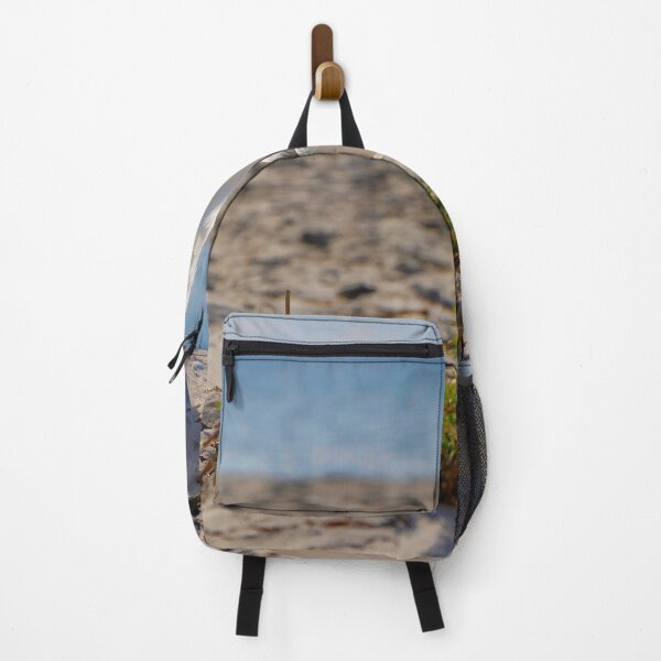 Item preview, Skua on the Baltic Sea coast designed and sold by Rico20023.