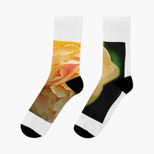 Item preview, Yellow rose on black background designed and sold by olena2552.