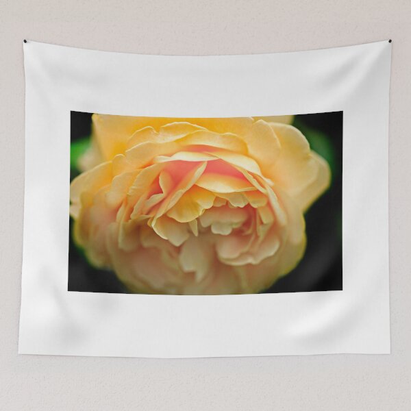 Item preview, Yellow rose on black background designed and sold by olena2552.