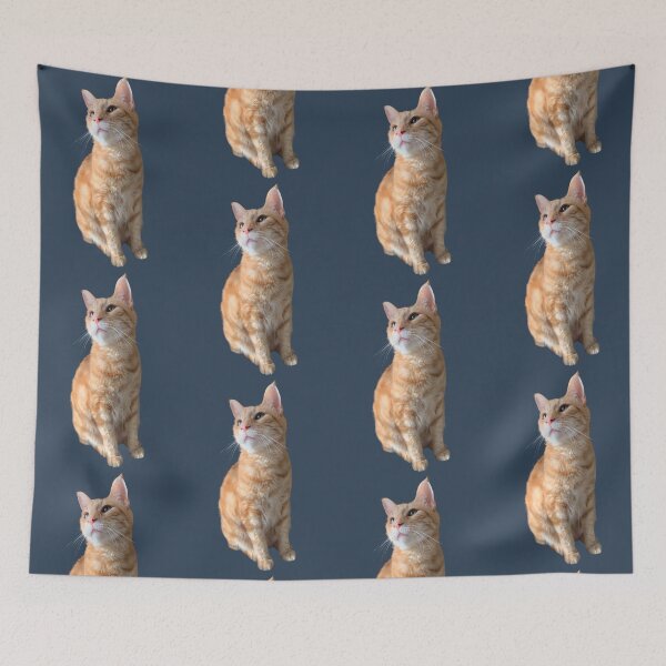 Item preview, Rufus the Ginger Bengal Maine Coon designed and sold by barksandsqueaks.