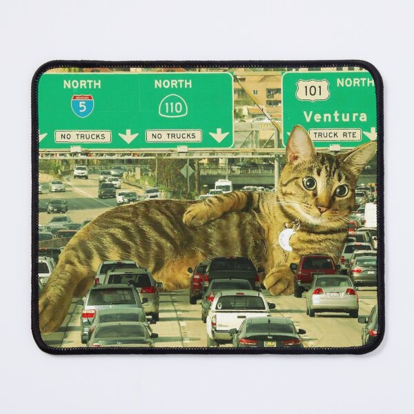 Item preview, Cat Blocking Traffic Funny Cute Photoshop designed and sold by Eri-chanArt.