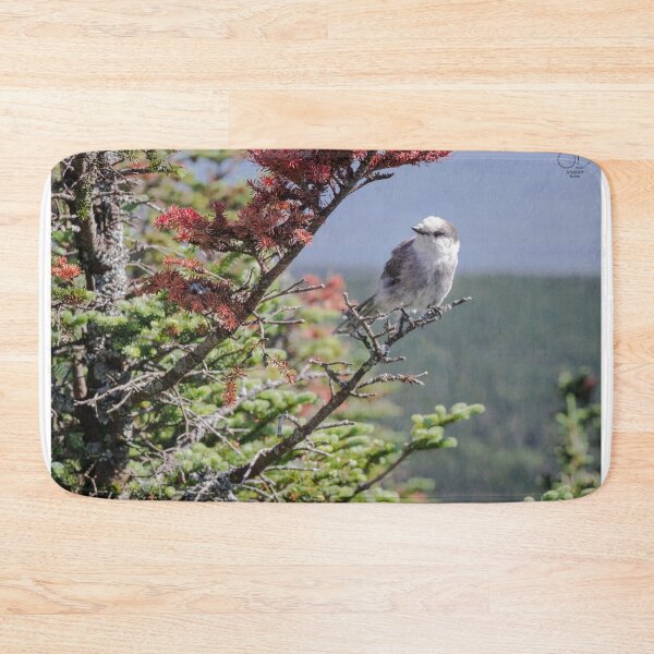 Item preview, bird photography designed and sold by AnaLoup.