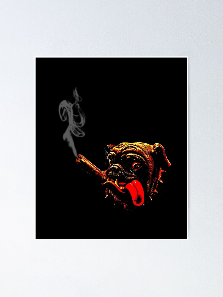 pitbull smoker