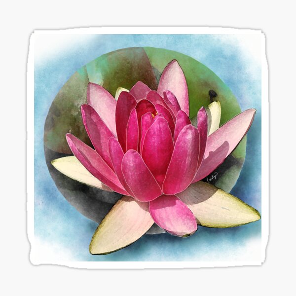 Pink Lotus Sticker