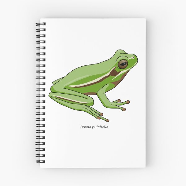 Item preview, Boana - frog designed and sold by Wittylot.