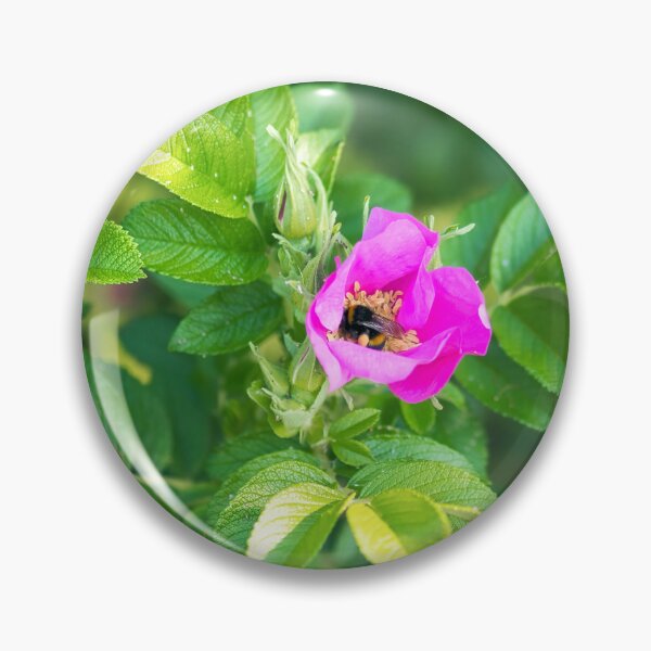 Item preview, Hedgerow Wild Roses designed and sold by Dorset Girl.