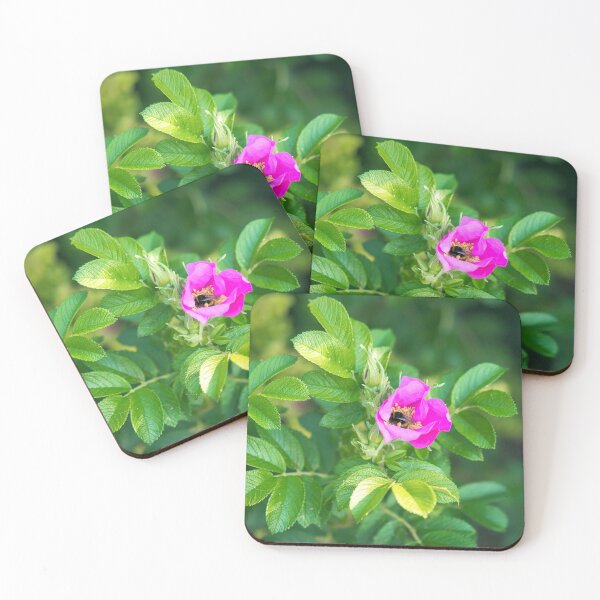 Item preview, Hedgerow Wild Roses designed and sold by Dorset Girl.