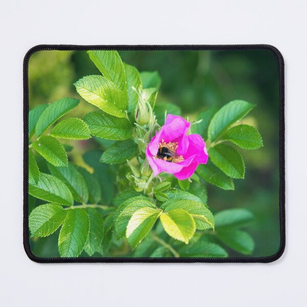 Item preview, Hedgerow Wild Roses designed and sold by Dorset Girl.