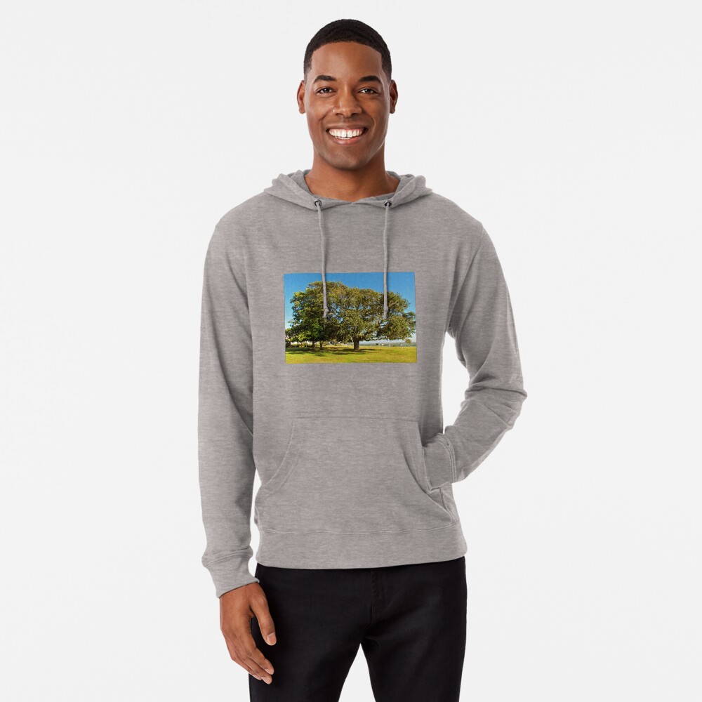 Item preview, Lightweight Hoodie designed and sold by Cynthia48.