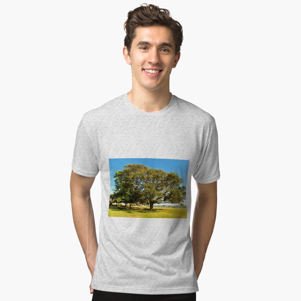 Item preview, Tri-blend T-Shirt designed and sold by Cynthia48.
