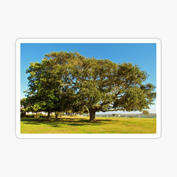 Item preview, A Shady Oak River View designed and sold by Cynthia48.