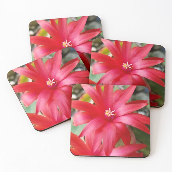Item preview, Easter Cactus Bloom designed and sold by bjtomiko.