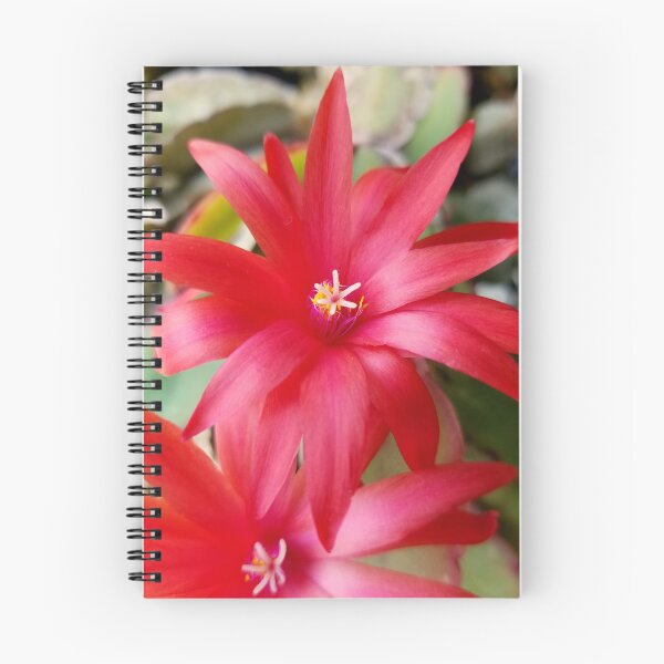 Item preview, Easter Cactus Bloom designed and sold by bjtomiko.