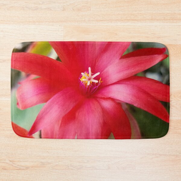 Item preview, Easter Cactus Bloom designed and sold by bjtomiko.