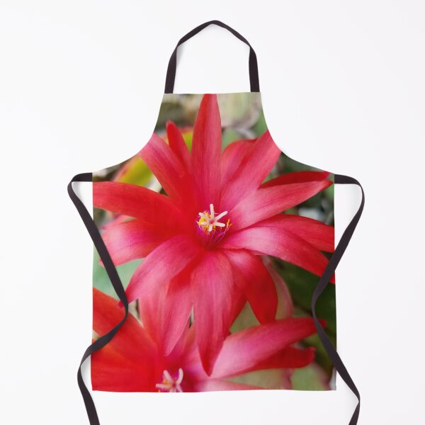 Item preview, Easter Cactus Bloom designed and sold by bjtomiko.