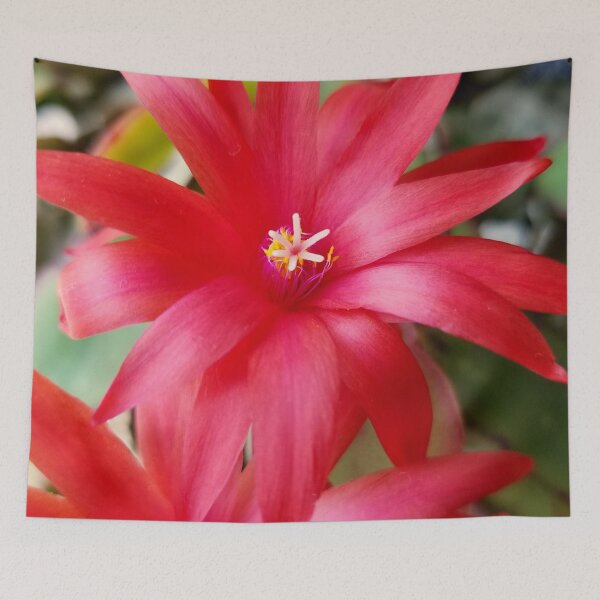 Item preview, Easter Cactus Bloom designed and sold by bjtomiko.
