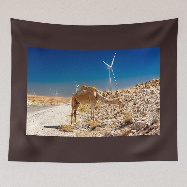 Item preview, On the Road to Petra designed and sold by BearLeft68.