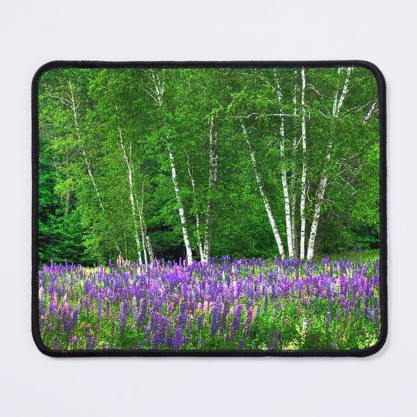 Item preview, Lupine in the Birches designed and sold by Wayne King.