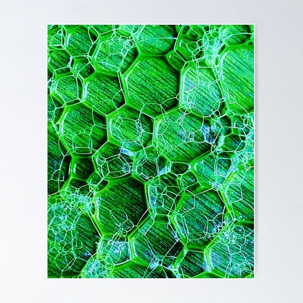 Item preview, Heptagon hexagon bubbles designed and sold by baksuart.