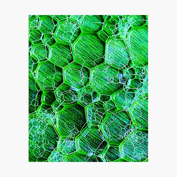 Item preview, Heptagon hexagon bubbles designed and sold by baksuart.