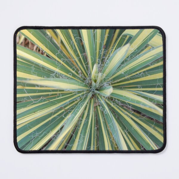 Item preview, Plant Life designed and sold by LifExtroardinar.
