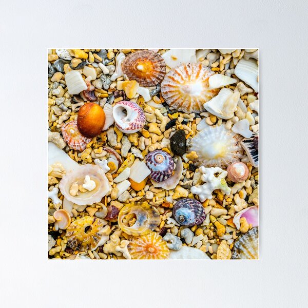 Item preview, Coral beach Mull designed and sold by Geoff Shoults.