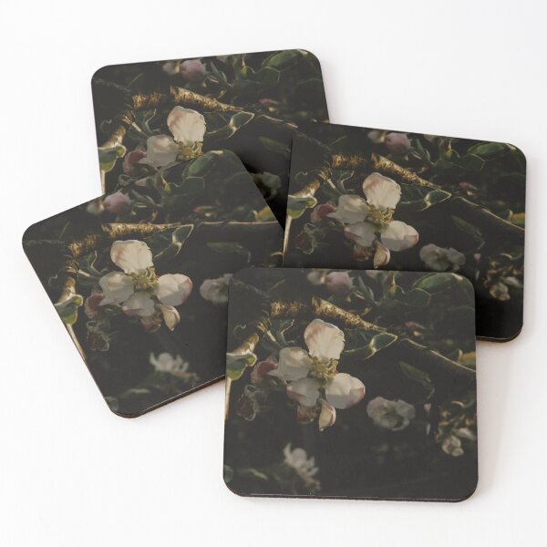 Item preview, photo of plants designed and sold by mojazona.