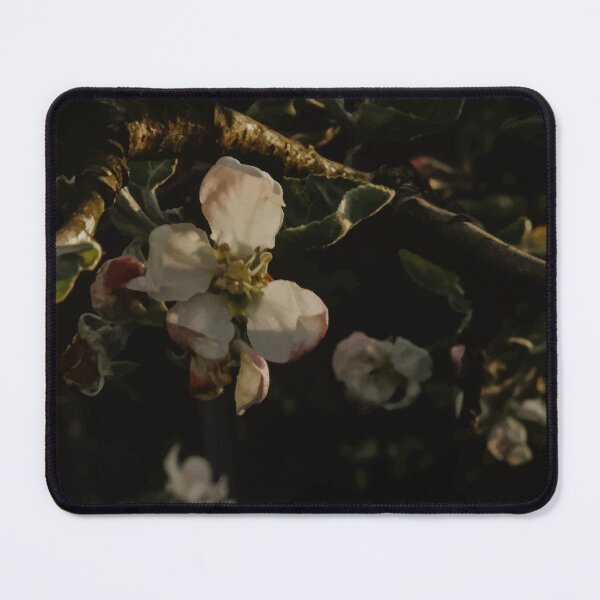 Item preview, photo of plants designed and sold by mojazona.