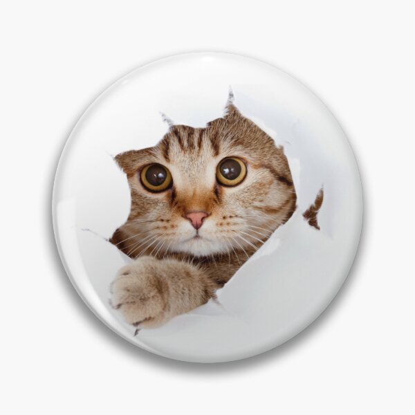 Item preview, Sheet Breaker: Cat Sticker designed and sold by BeniSof.