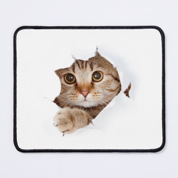 Item preview, Sheet Breaker: Cat Sticker designed and sold by BeniSof.