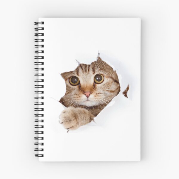 Item preview, Sheet Breaker: Cat Sticker designed and sold by BeniSof.