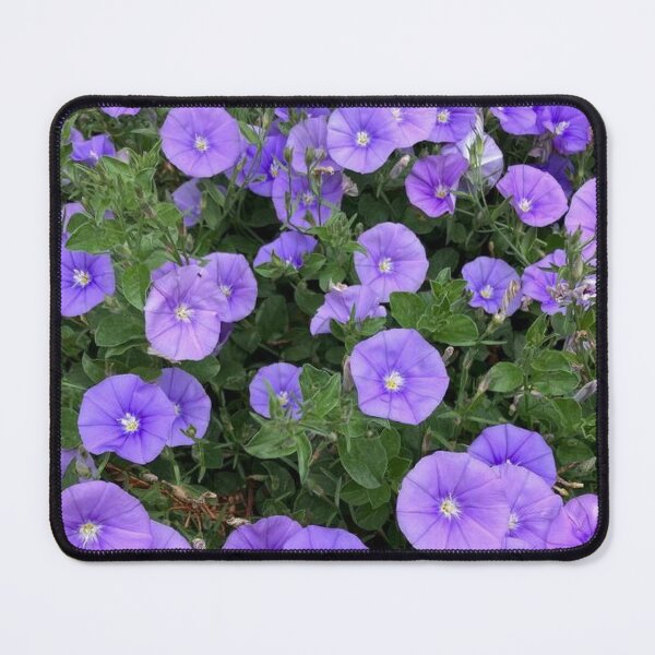 Item preview, Blue rock bindweed flowers pattern by Iritof designed and sold by iritof.
