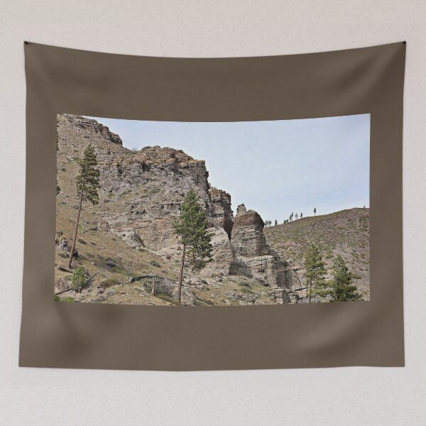Item preview, Striated Cliffs in the Sierra Nevadas, California designed and sold by Martha Sherman.