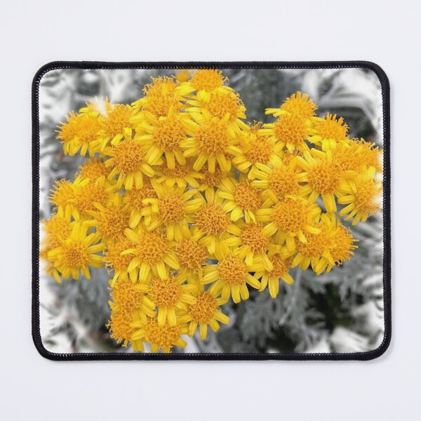 Item preview, Silver ragwort yellow bouquet flowers by iritof designed and sold by iritof.