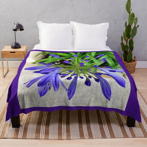 Item preview, African Lily flower in Ingigo color photo by Iritof designed and sold by iritof.