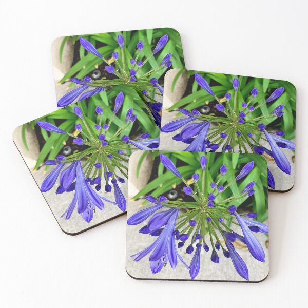 Item preview, African Lily flower in Ingigo color photo by Iritof designed and sold by iritof.