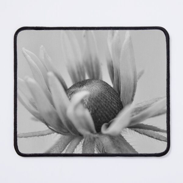 Item preview, With Love, Always designed and sold by Tonia Delozier's Photography .