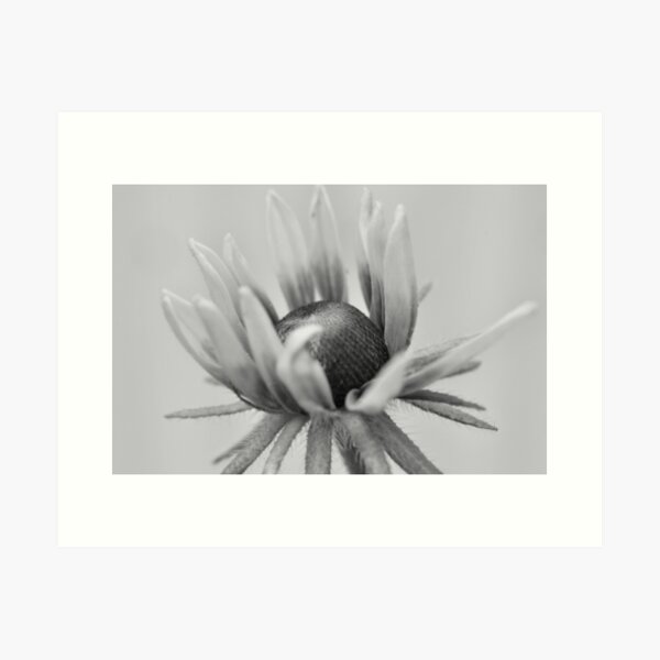 Item preview, With Love, Always designed and sold by Tonia Delozier's Photography .