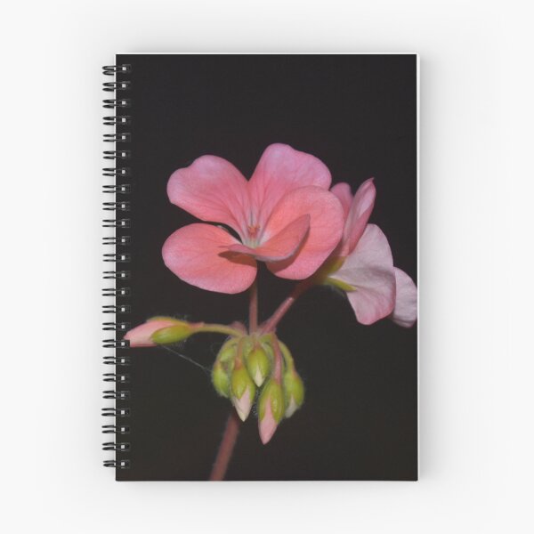 Item preview, Geranium  designed and sold by Superpol44.