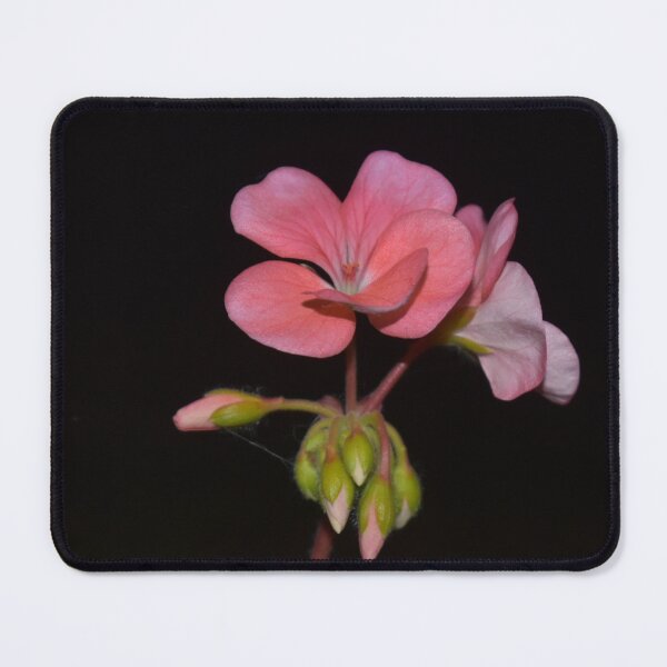 Item preview, Geranium  designed and sold by Superpol44.