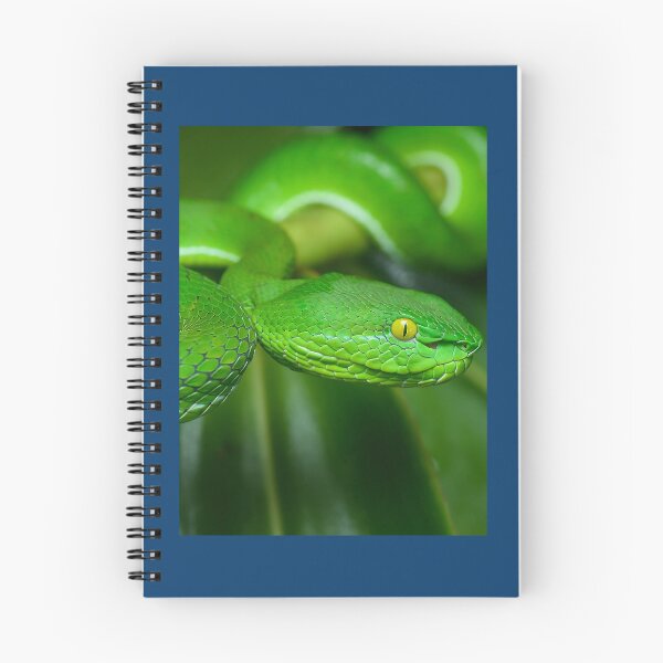Item preview, Pit Viper Snake Graphic designed and sold by stamper-andera.
