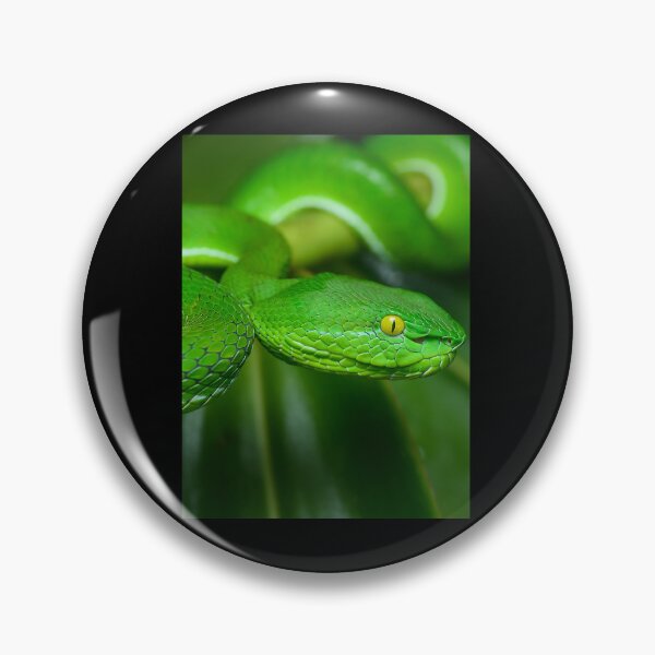 Item preview, Pit Viper Snake Graphic designed and sold by stamper-andera.