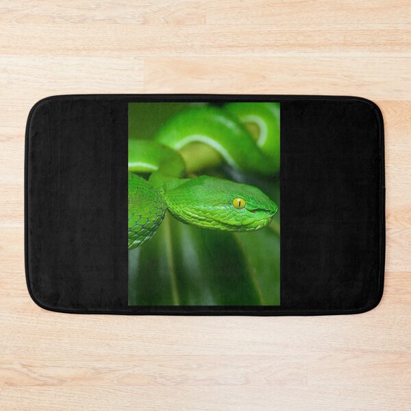 Item preview, Pit Viper Snake Graphic designed and sold by stamper-andera.